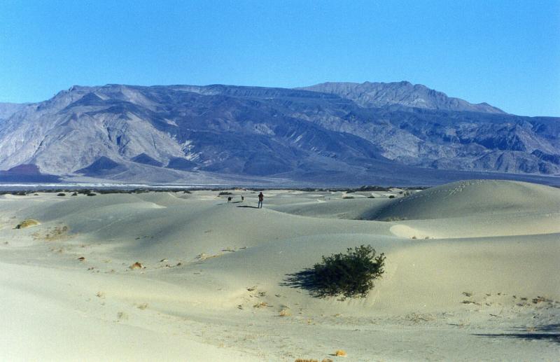 Saline Valley Dunes