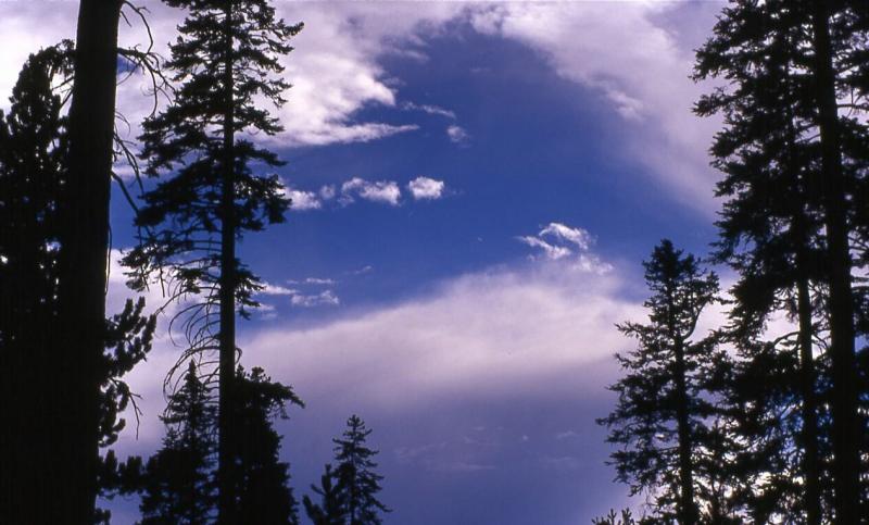 After the storm, Kern Plateau