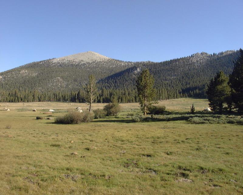 hmeadow1.jpg