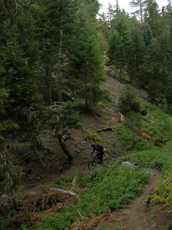 Jackson Lake Trail