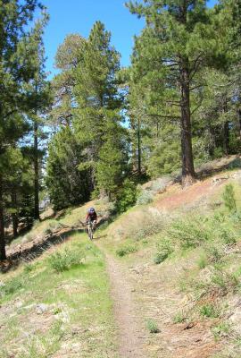 Jackson Lake Trail