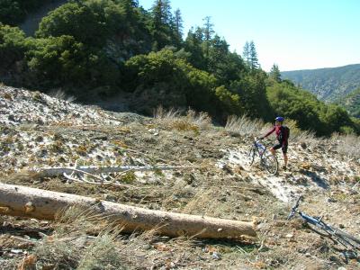 Avalanche Debris - Manzanita Trail