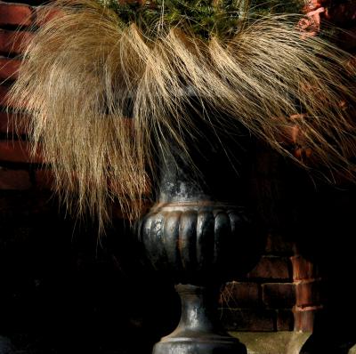 bad hair day