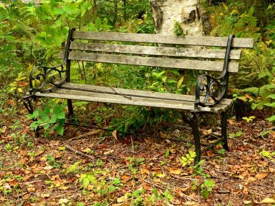 bench
