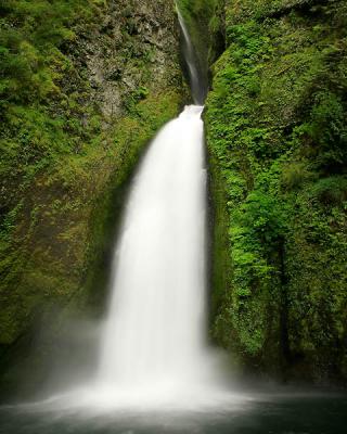 Wahclella Falls 11w.jpg