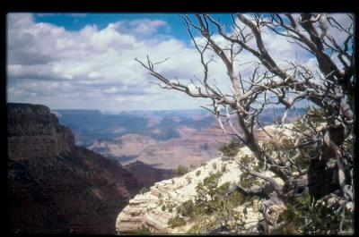 Grand Canyon View