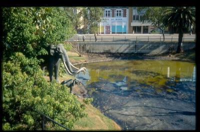 La Brea Tar Pits - Los Angeles.jpg