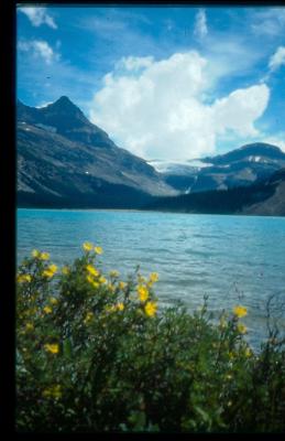 Along the Icefields Parkway