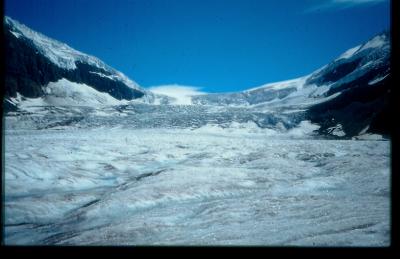 Columbia Icefields