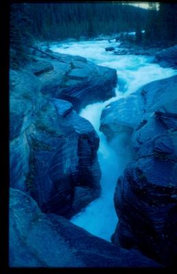 Upper Waters Along The Athabasca River