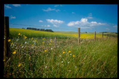 Prairie Photo