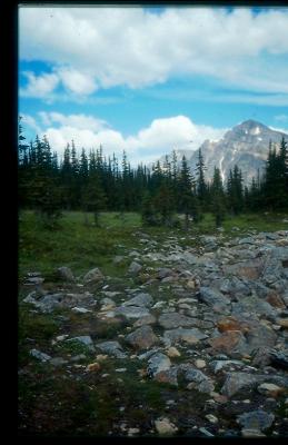 Glacial Till