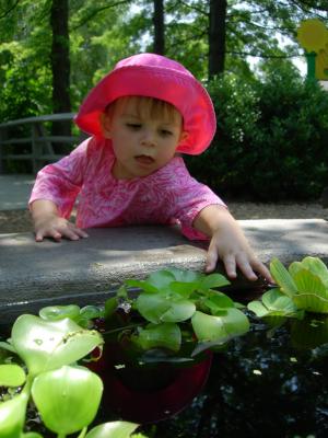 Children's Garden Touch Tank - NY Botanical Gardens