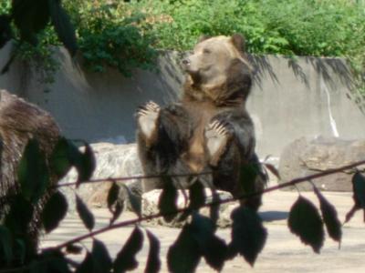 DSCN5659.JPG
