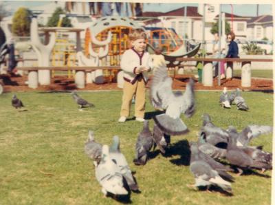 The Birds