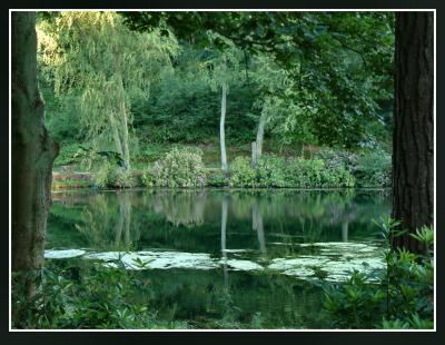 Reflections, Knypersley Pool