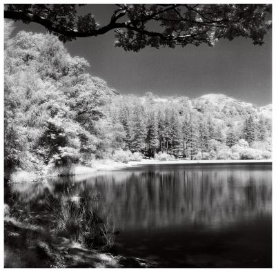 Yewtree Tarn, Cumbria