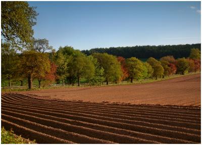 Ploughed field, Staffordshire