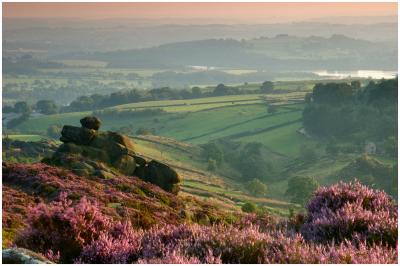 View from Ramshaw Rocks, Staffordshire