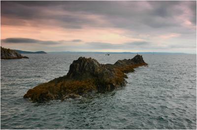 Coastline, Mevagissey