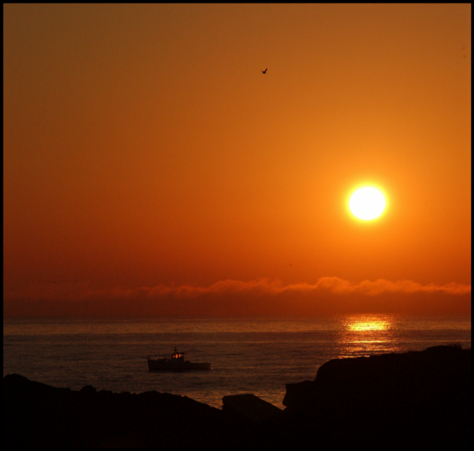 Early morning in Maine