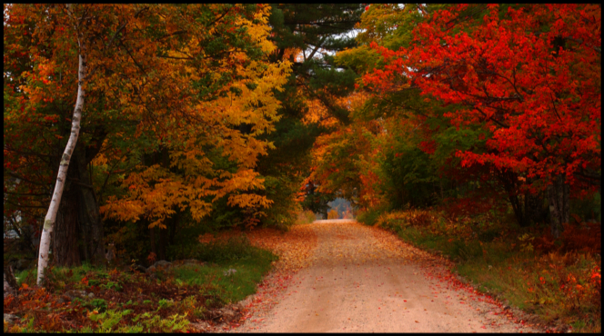 The Road Less Traveled