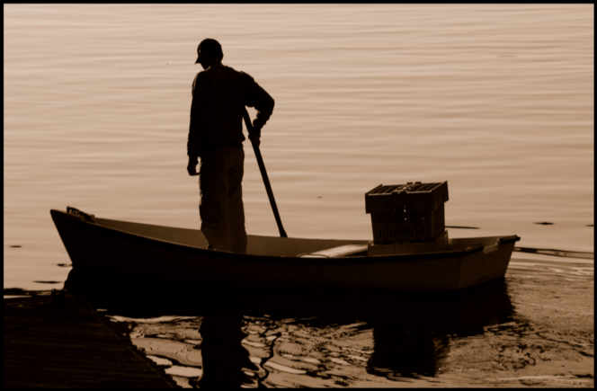 The Lobsterman