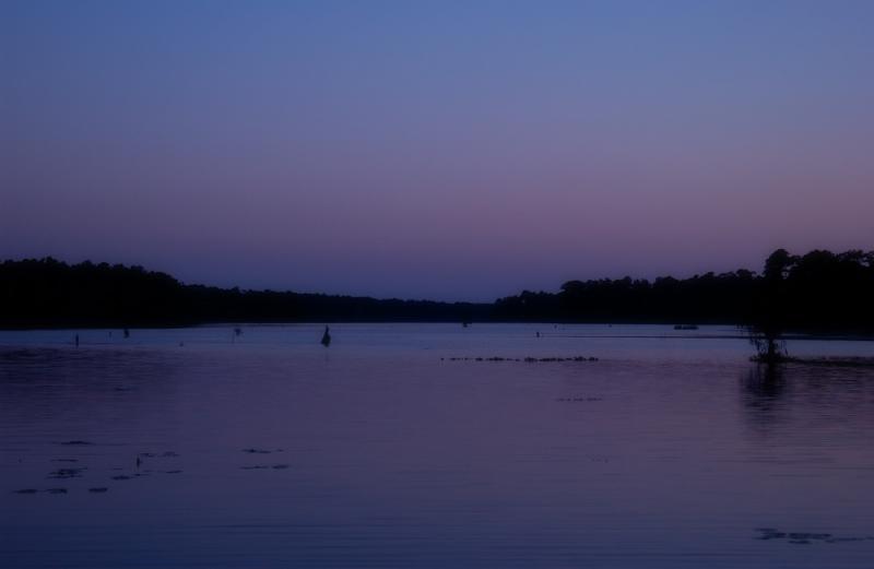 Evening at Cape Fear With Venus's Belt
