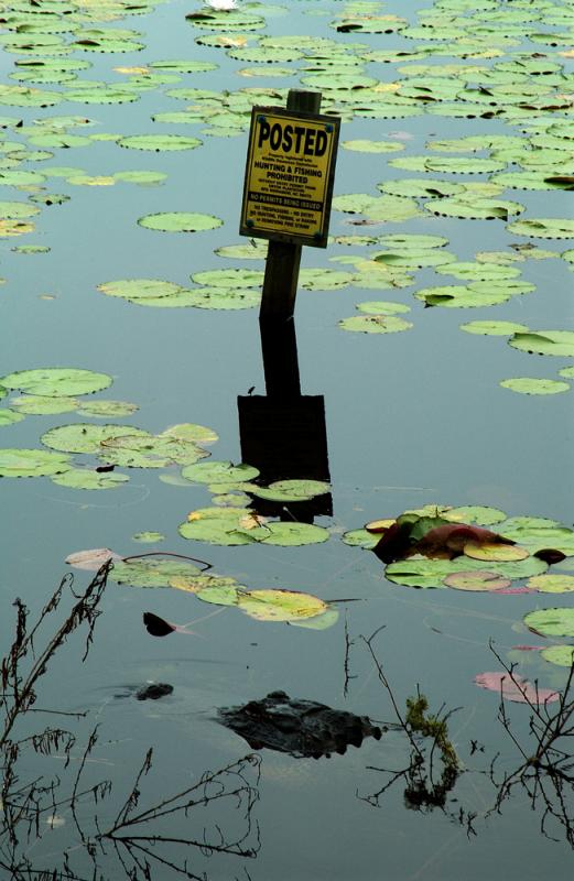 Signs, sometimes, do have meaning