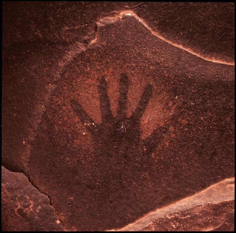 Remnants of the Ancient Ones