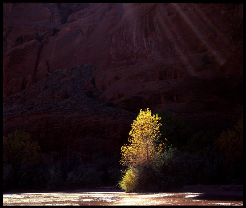 Evening in Canyon de Chelley