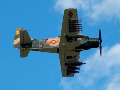 Skyraider AE1