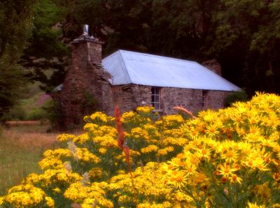 Morning Tea at an Old Homestead, New Zealand