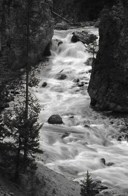 The Firehole River, Yellowstone