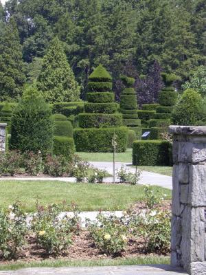 Part of Topiary maze