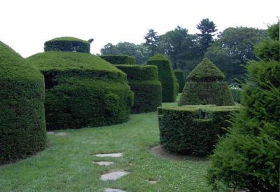 topiary maze