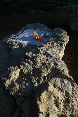 Folded Crane one top of rock at sunrise