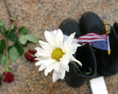Boots of fallen Soldier with Daisy
