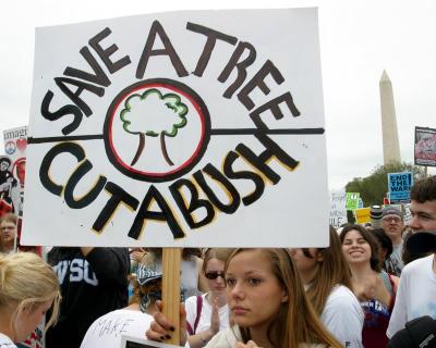 Save A Tree Cut a Bush