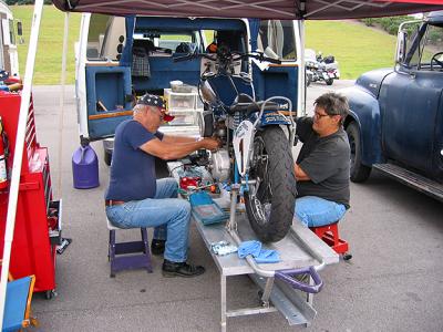 Working in the Paddock