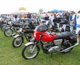 Nice Collection of Norton Commandos