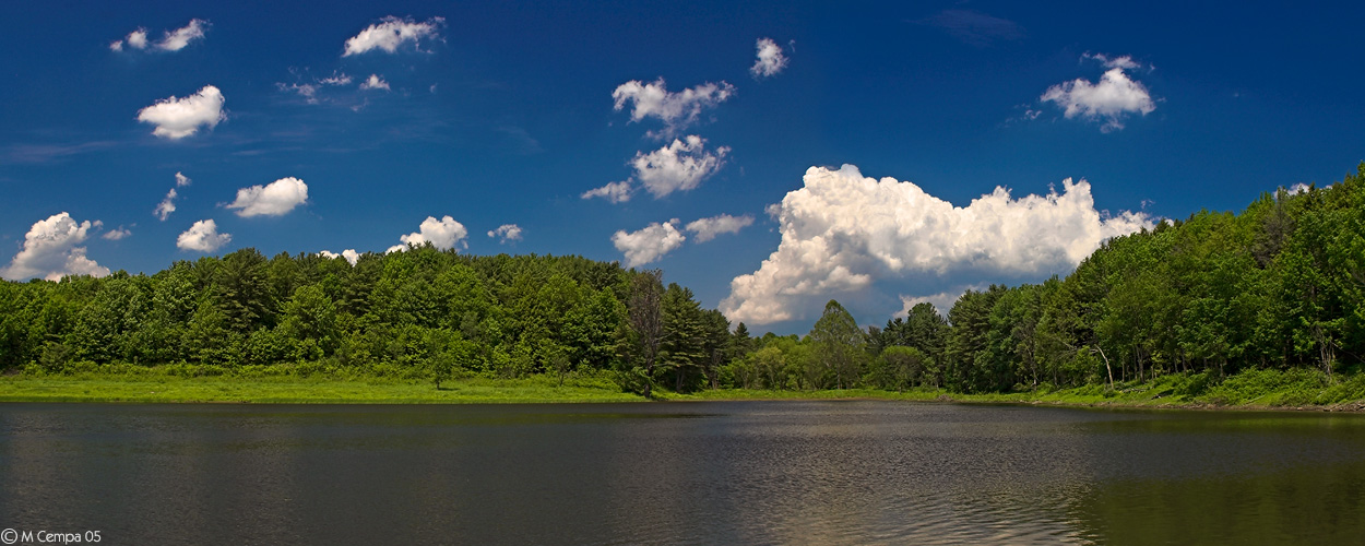 summer on struble pond