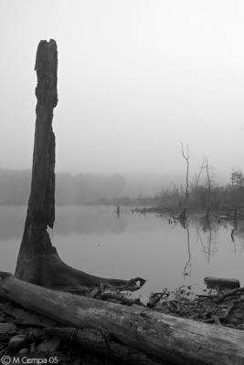fog on the pond #2