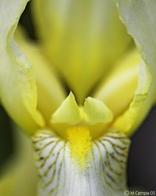 0606