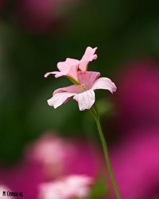 0609