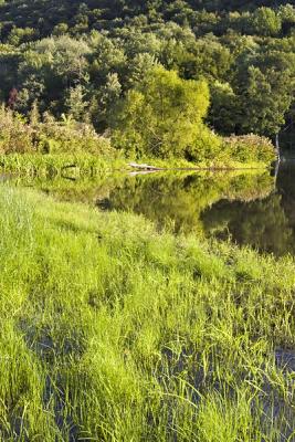 v3/91/380091/3/48755825.bupond_eve_green_mjc_599.jpg