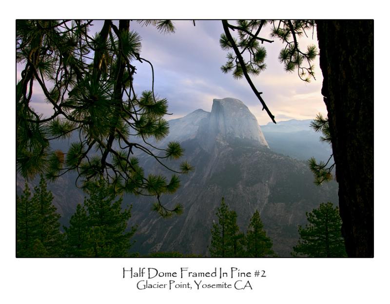 Half Dome Framed In Pine 2.jpg