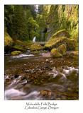 Wahcelella Falls Bridge.jpg
