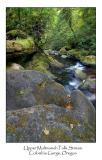 Upper Mutlnomah Falls Stream.jpg