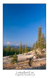 Looking Back East.jpg (Up To 30 x 45)